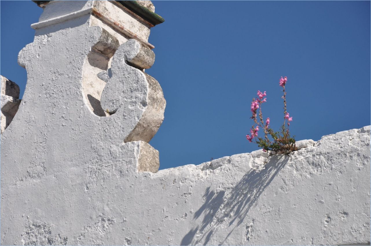 191-Medina Sidonia